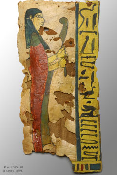 Imsety trapping for Baket, Dyn. 23