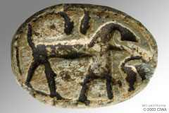 Scarab of Sobekhotep, Dyn. 13, 1720 BC