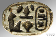 Scarab of Thutmose III, Dyn. 18