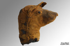 Dog head mummy